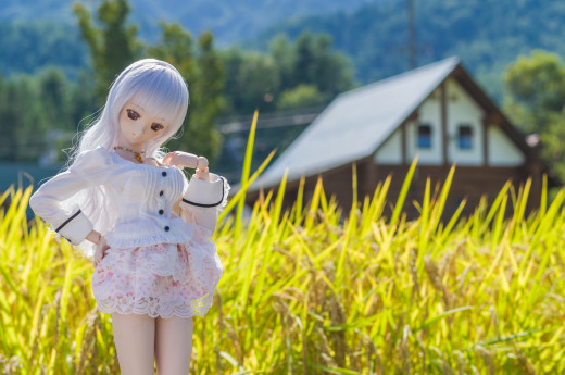 668300 (a): :1927x1276